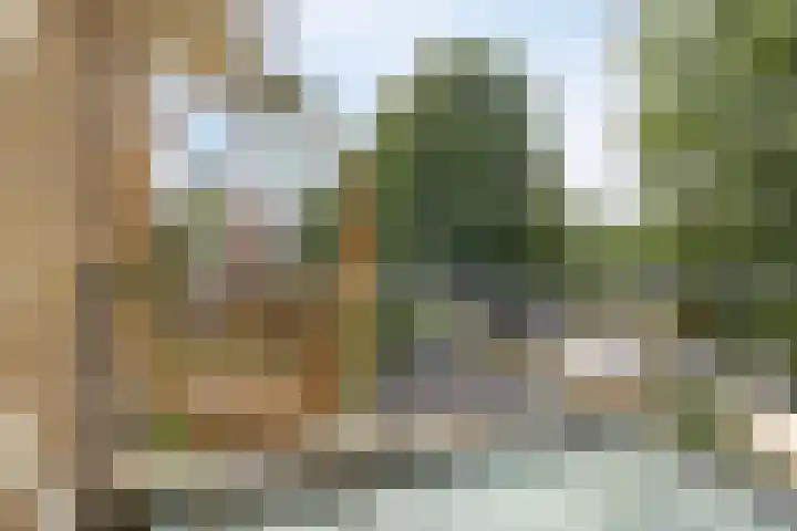Van Goghstraat 72 Arnhem thumbnail 27