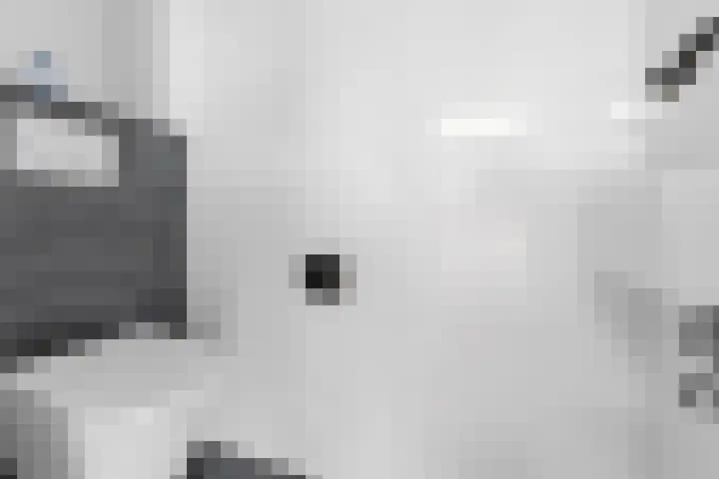 Van Goghstraat 75 Reeuwijk thumbnail 8