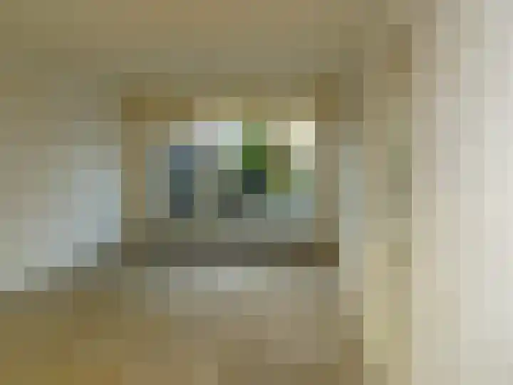 Van Goghstraat 8 Sint Maartensvlotbrug thumbnail 10