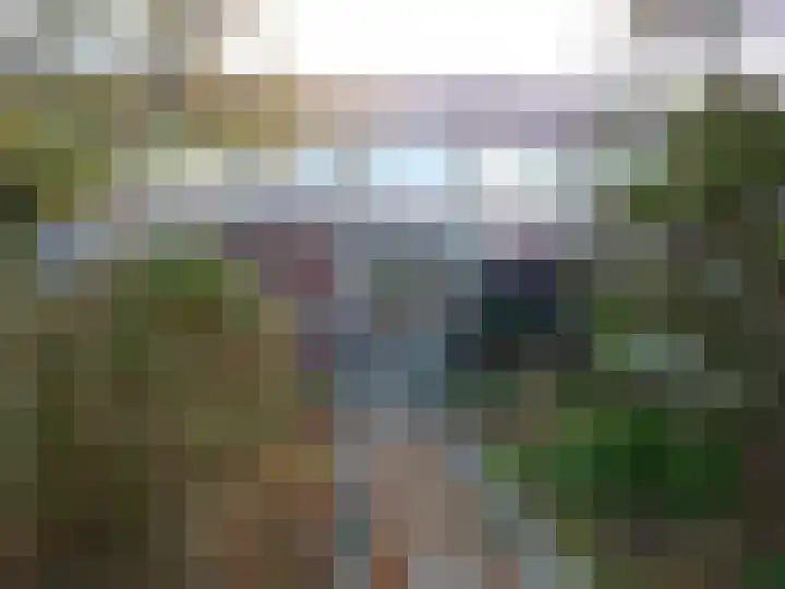 Van Goghstraat 8 Sint Maartensvlotbrug thumbnail 5