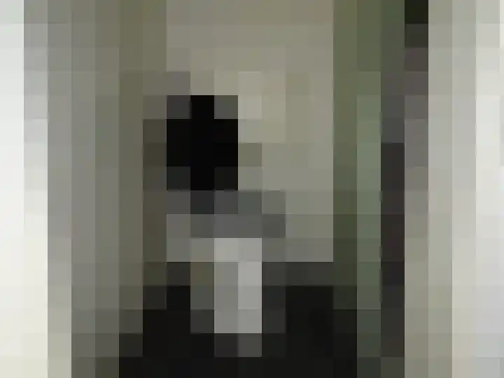 Van Goghstraat 8 Sint Maartensvlotbrug thumbnail 9
