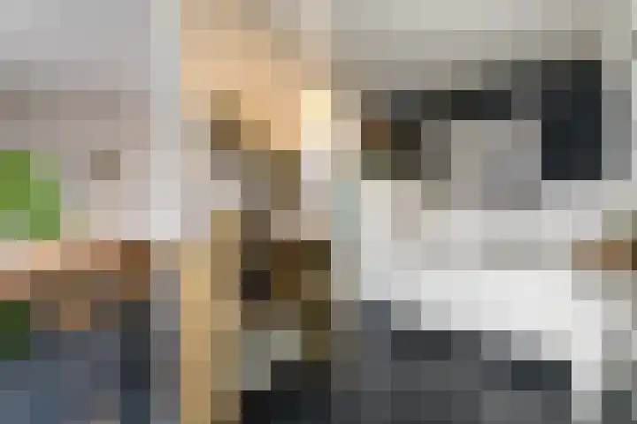 Van Goghstraat 9 Wolvega thumbnail 11