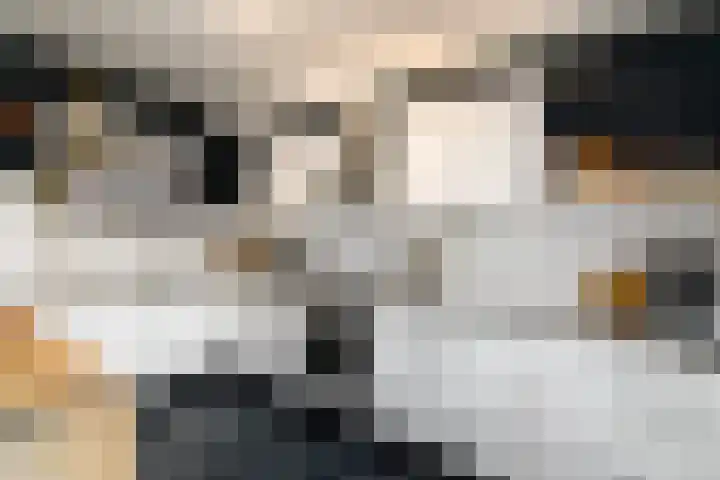 Van Goghstraat 9 Wolvega thumbnail 12