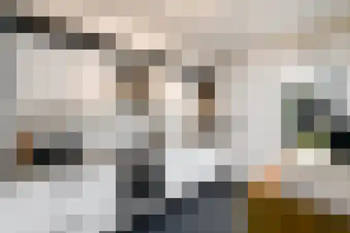 Van Goghstraat 9 Wolvega thumbnail 13