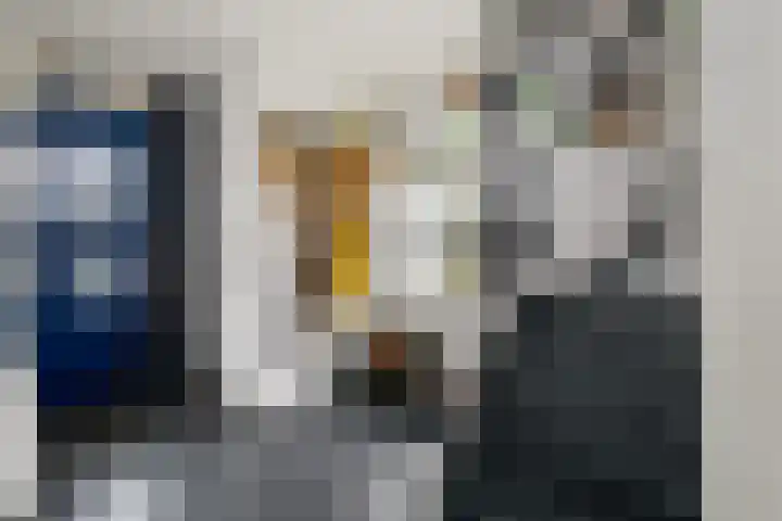 Van Goghstraat 9 Wolvega thumbnail 17