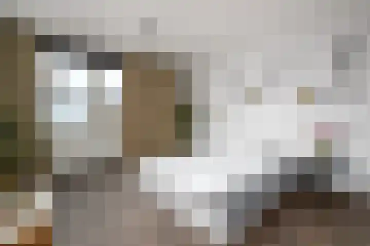 Van Goghstraat 9 Wolvega thumbnail 19