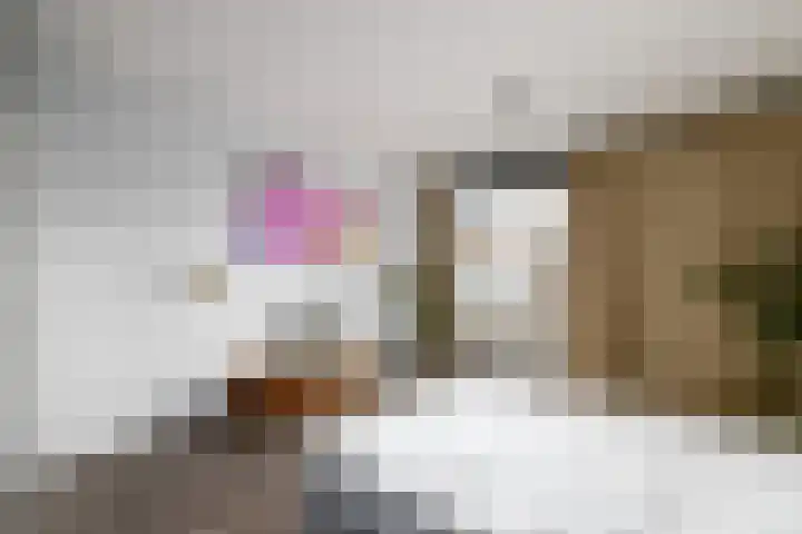 Van Goghstraat 9 Wolvega thumbnail 20