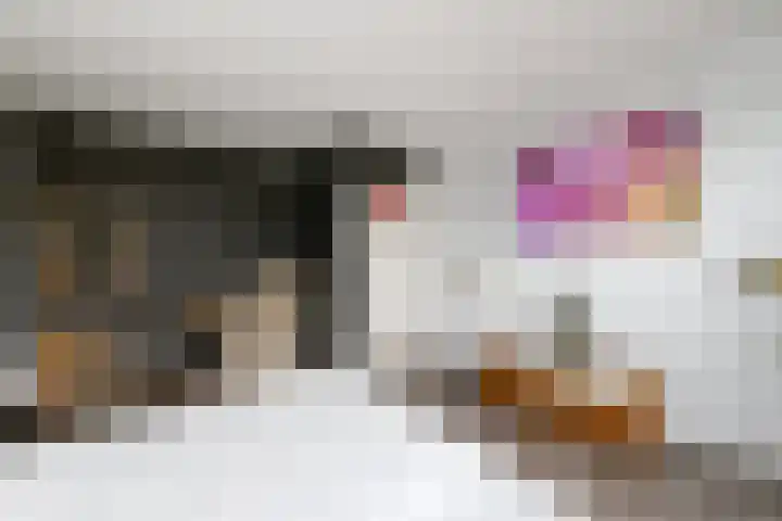 Van Goghstraat 9 Wolvega thumbnail 21