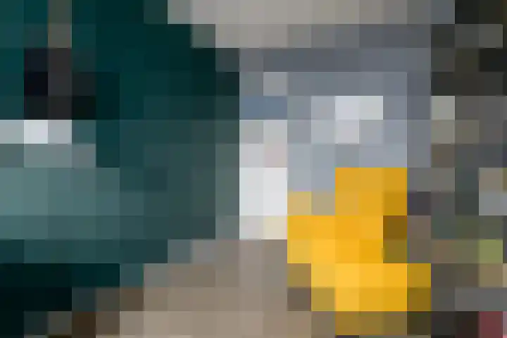 Van Goghstraat 9 Wolvega thumbnail 23