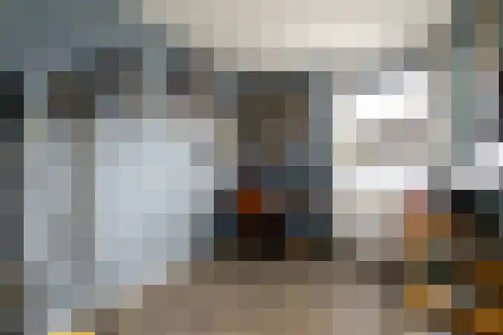 Van Goghstraat 9 Wolvega thumbnail 24