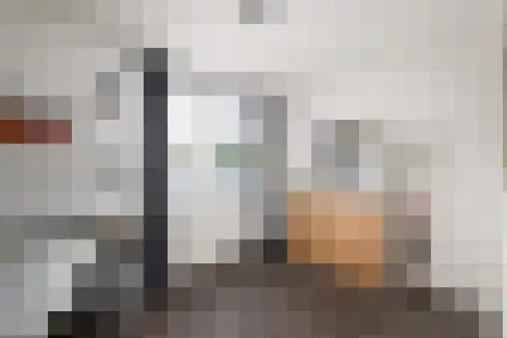 Van Goghstraat 9 Wolvega thumbnail 26