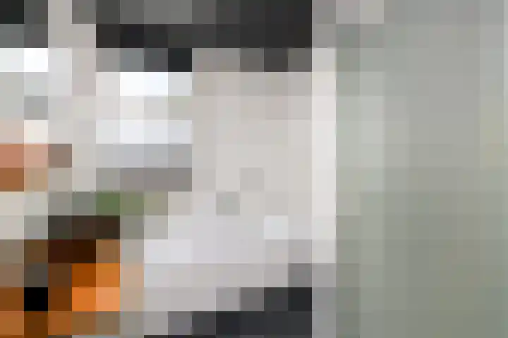Van Goghstraat 9 Wolvega thumbnail 28