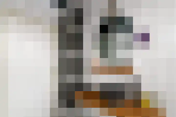 Van Goghstraat 9 Wolvega thumbnail 29