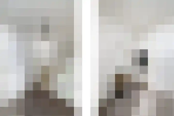 Van Goghstraat 9 Wolvega thumbnail 31