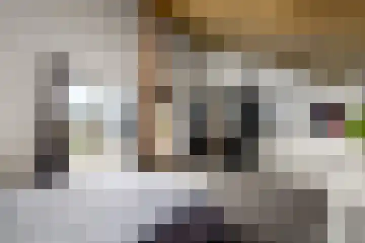 Van Goghstraat 9 Wolvega thumbnail 35