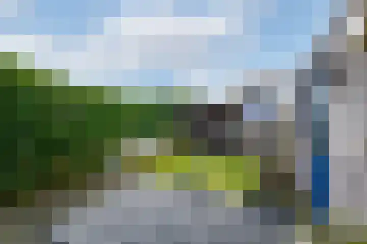 Van Goghstraat 9 Wolvega thumbnail 40