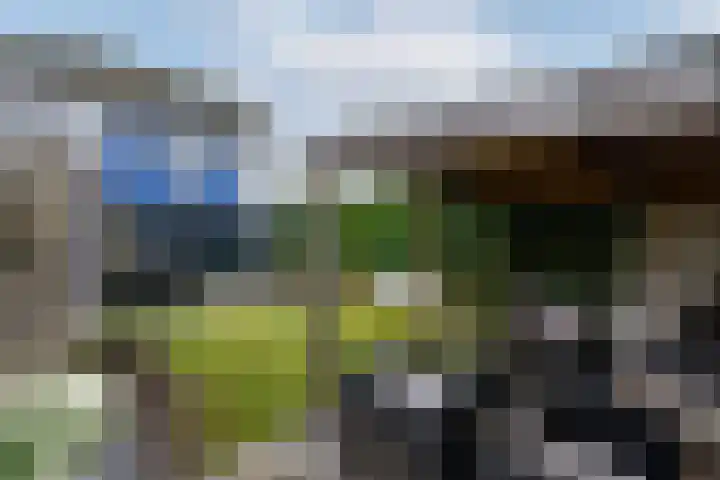 Van Goghstraat 9 Wolvega thumbnail 42