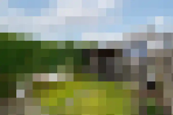 Van Goghstraat 9 Wolvega thumbnail 43