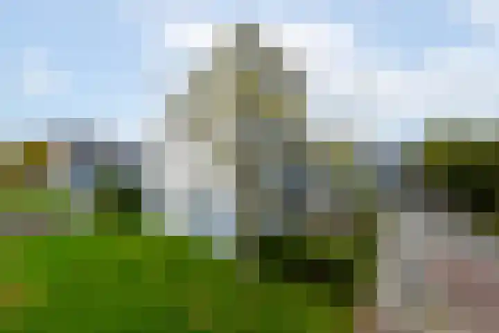 Van Goghstraat 9 Wolvega thumbnail 44