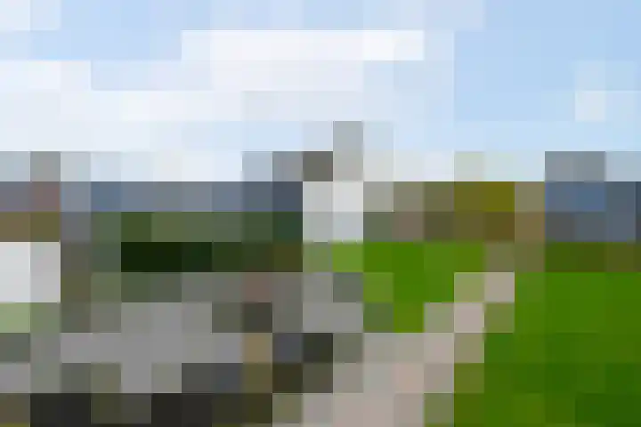 Van Goghstraat 9 Wolvega thumbnail 45