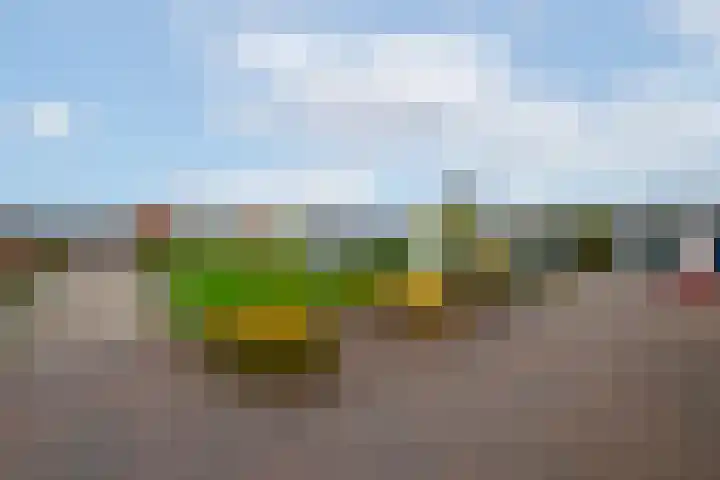 Van Goghstraat 9 Wolvega thumbnail 46