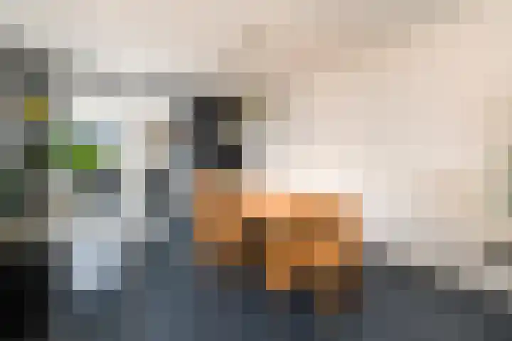 Van Goghstraat 9 Wolvega thumbnail 6