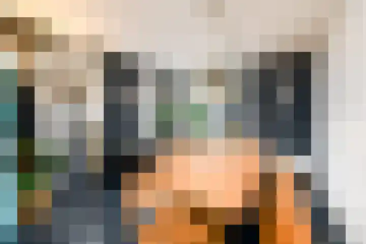 Van Goghstraat 9 Wolvega thumbnail 9