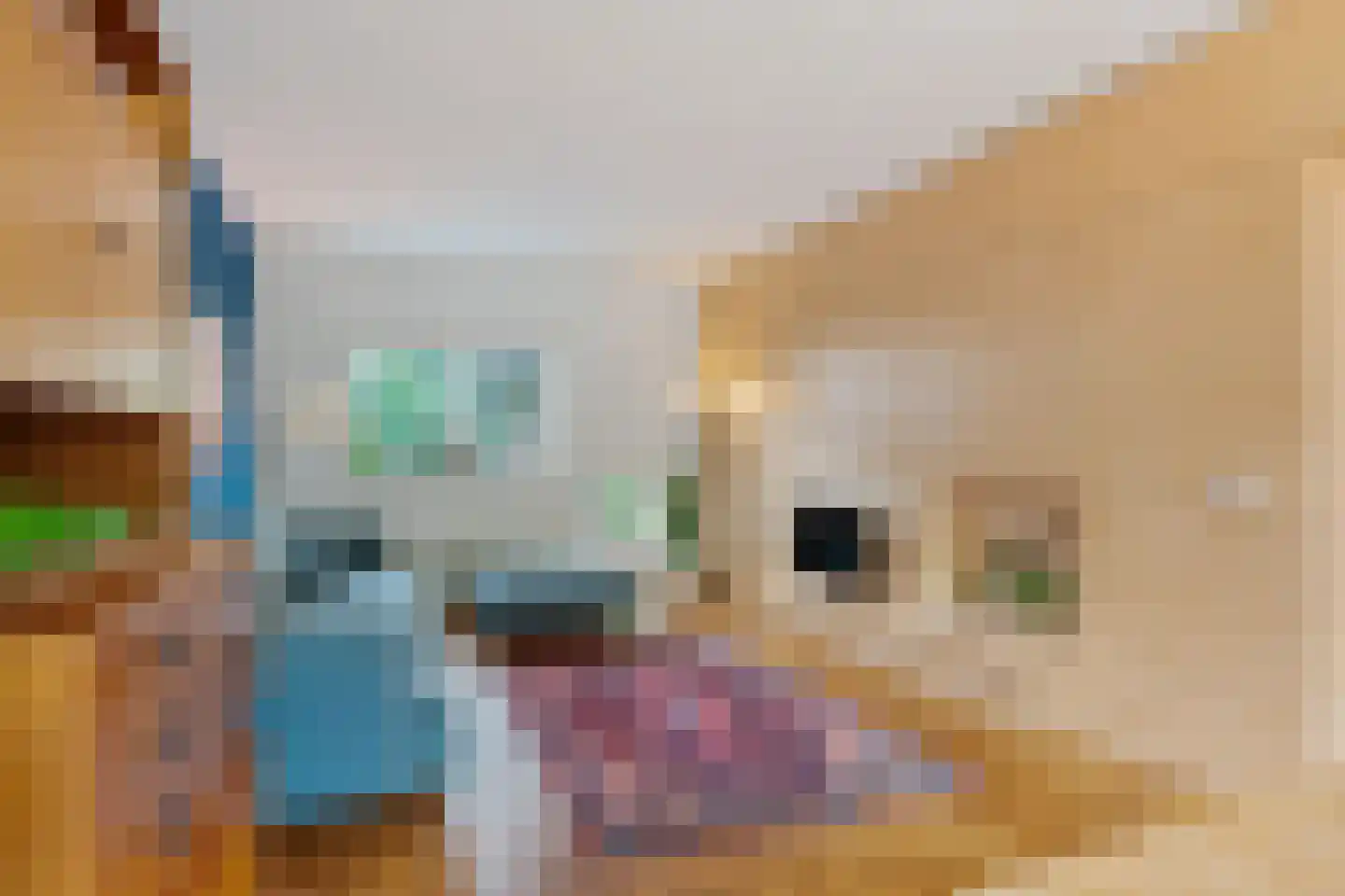Van Goijenstraat 43 Rotterdam thumbnail 22