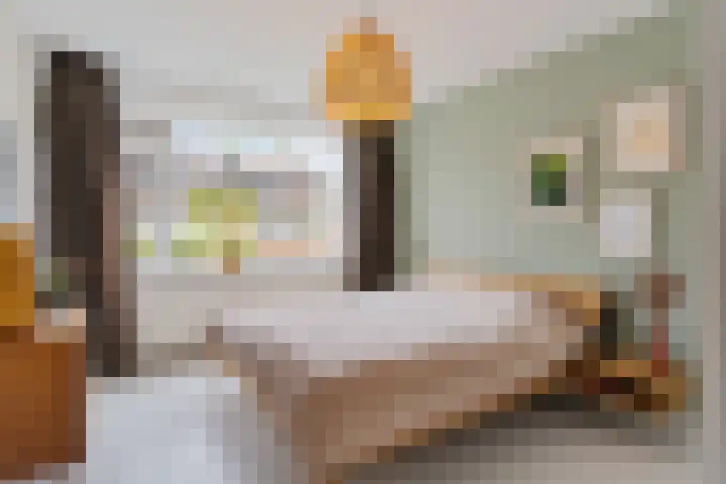 Van Goijenstraat 43 Rotterdam thumbnail 31