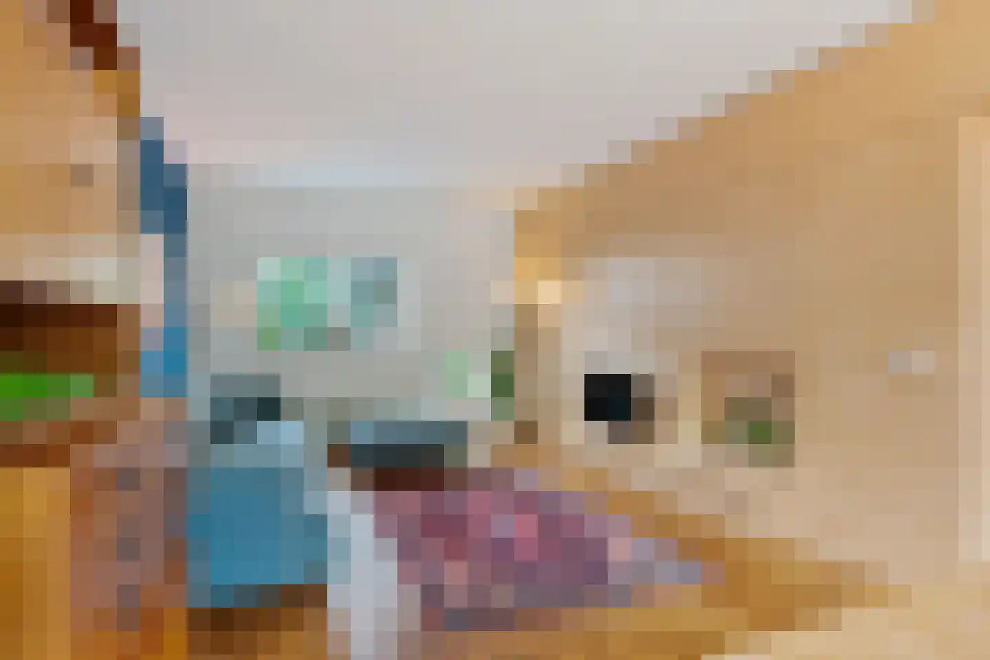 Van Goijenstraat 43 Rotterdam thumbnail 4