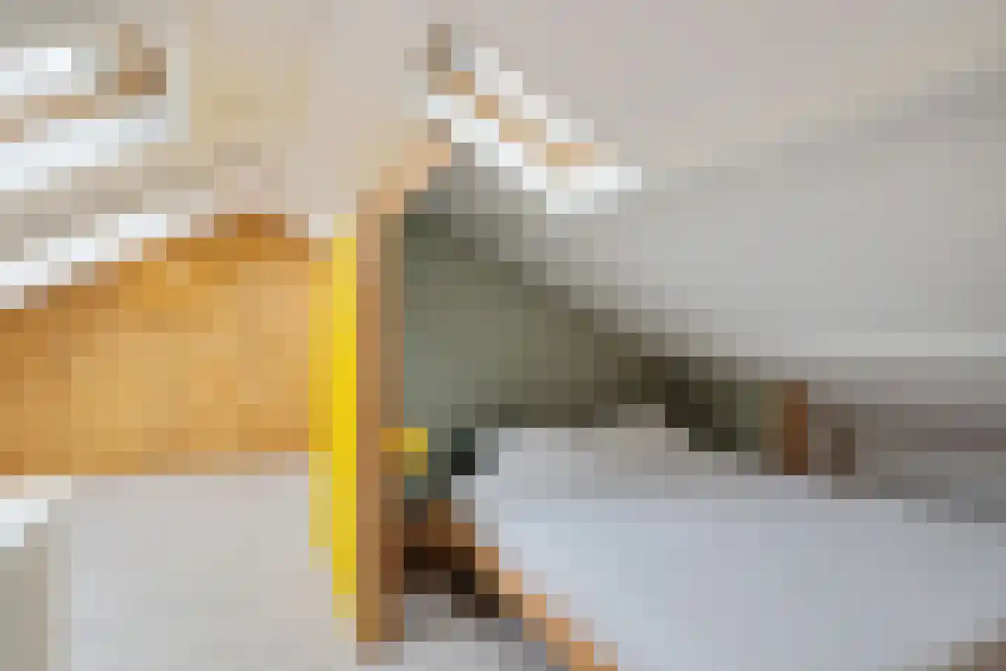 Van Goijenstraat 43 Rotterdam thumbnail 47