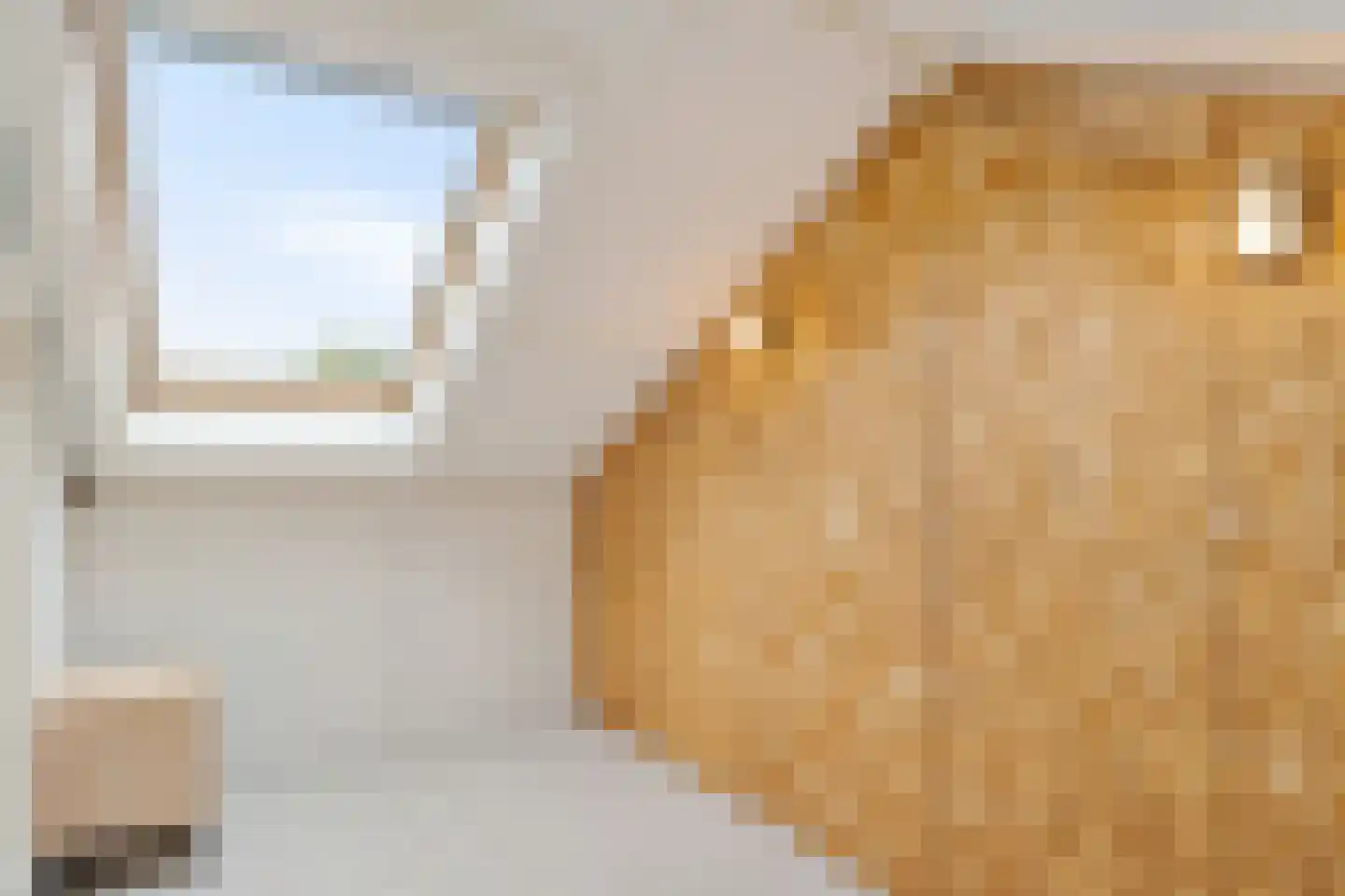 Van Goijenstraat 43 Rotterdam thumbnail 50