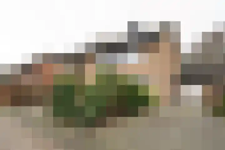 van Goltsteinstraat 24 Putten