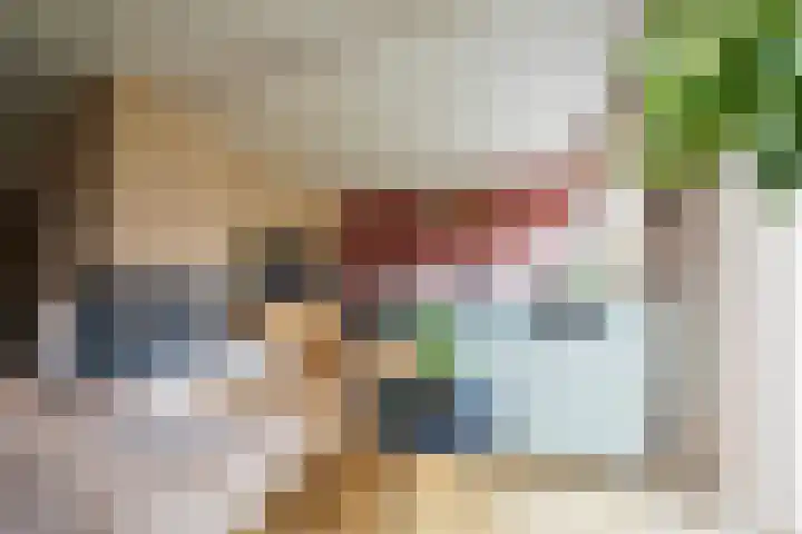 van Goltsteinstraat 24 Putten thumbnail 11