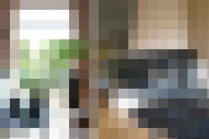 van Goltsteinstraat 24 Putten thumbnail 12