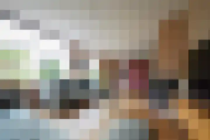 van Goltsteinstraat 24 Putten thumbnail 14
