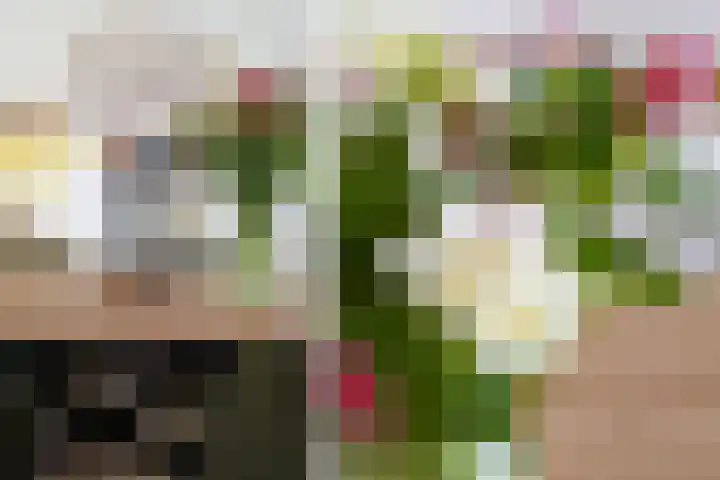 van Goltsteinstraat 24 Putten thumbnail 20