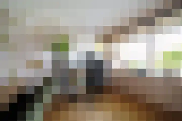 van Goltsteinstraat 24 Putten thumbnail 21