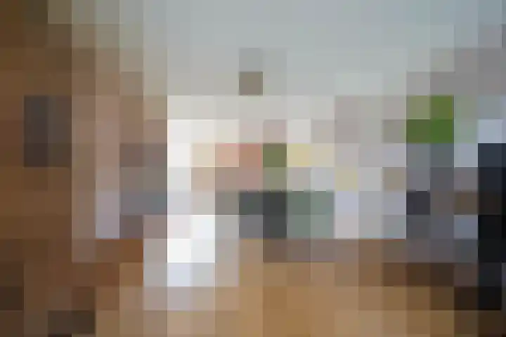 van Goltsteinstraat 24 Putten thumbnail 22