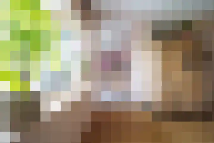 van Goltsteinstraat 24 Putten thumbnail 23