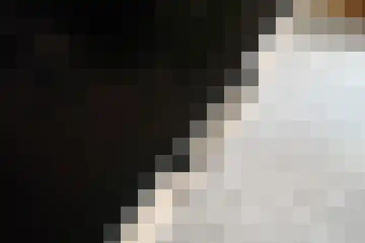 van Goltsteinstraat 24 Putten thumbnail 26