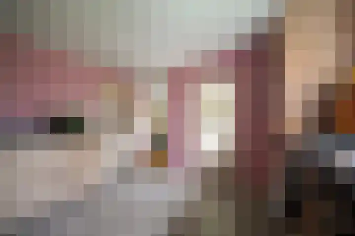 van Goltsteinstraat 24 Putten thumbnail 27