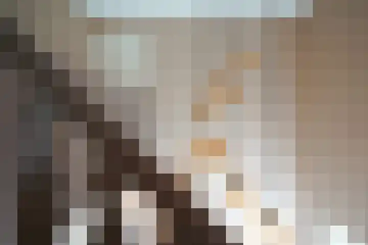 van Goltsteinstraat 24 Putten thumbnail 29
