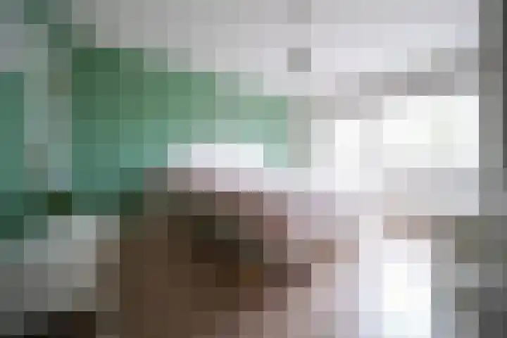 van Goltsteinstraat 24 Putten thumbnail 31