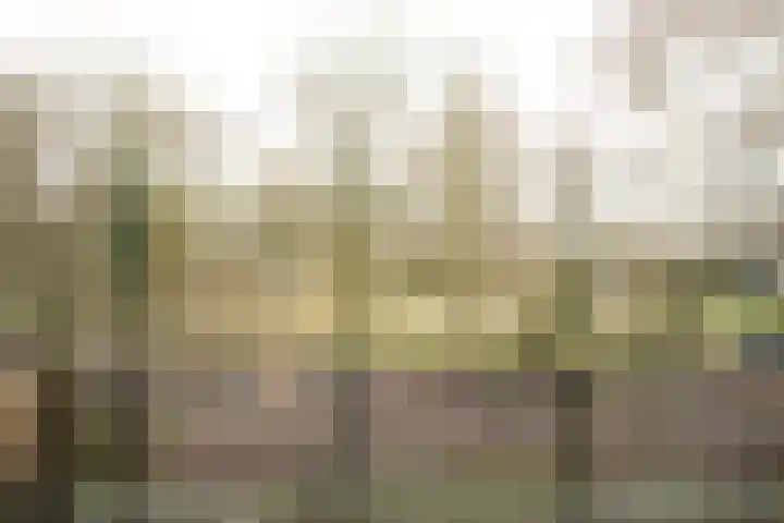 van Goltsteinstraat 24 Putten thumbnail 32