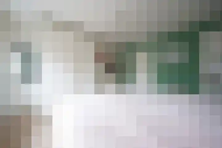 van Goltsteinstraat 24 Putten thumbnail 33
