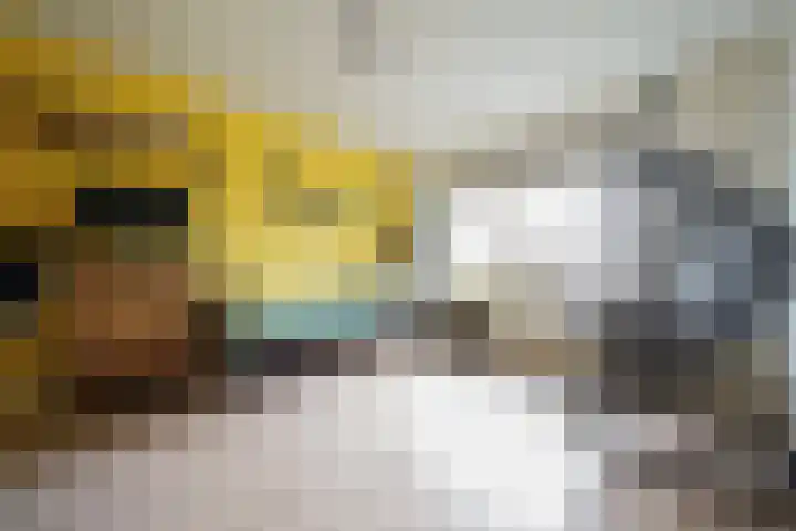 van Goltsteinstraat 24 Putten thumbnail 34