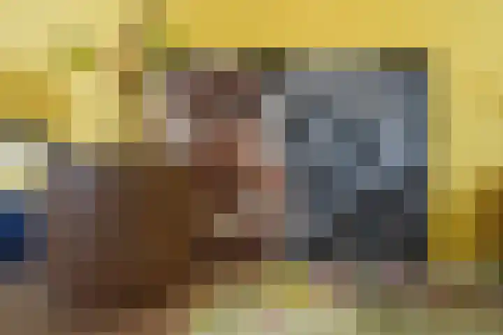 van Goltsteinstraat 24 Putten thumbnail 35
