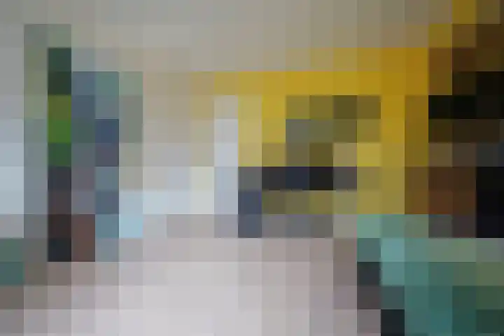 van Goltsteinstraat 24 Putten thumbnail 36