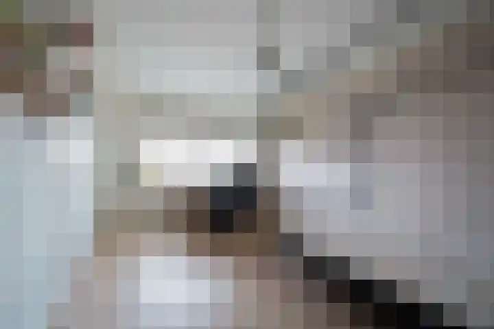van Goltsteinstraat 24 Putten thumbnail 37